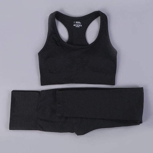 Load image into Gallery viewer, 2/3PCS Seamless Women Workout Sportswear
